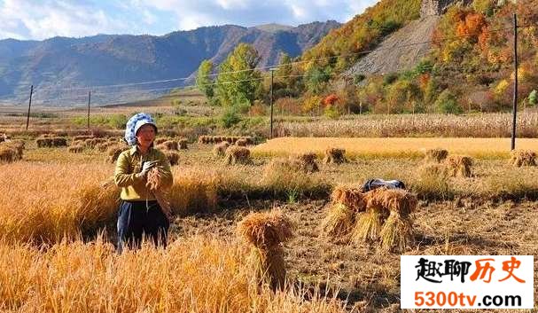 中国农业丰收节是什么节日？放假吗？高速免费吗