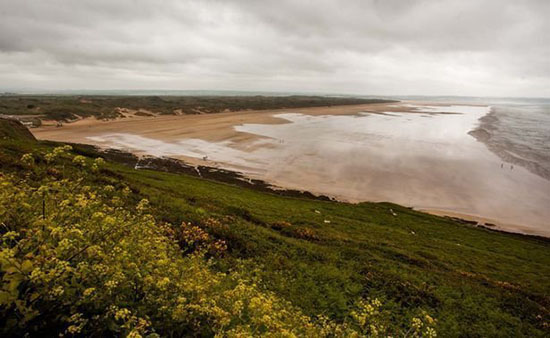 英国南部海岸惊现一只近1米宽的巨型水母：有150条之多