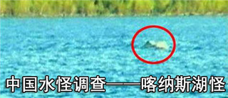 巨型哲罗鲑：喀纳斯湖水怪是大型哲罗鲑 