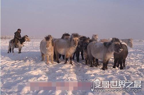 世界上最冷的村庄，奥伊米亚康村低至-71.2℃