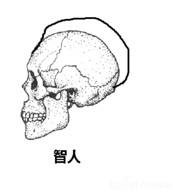 为何不可能是外星人造人