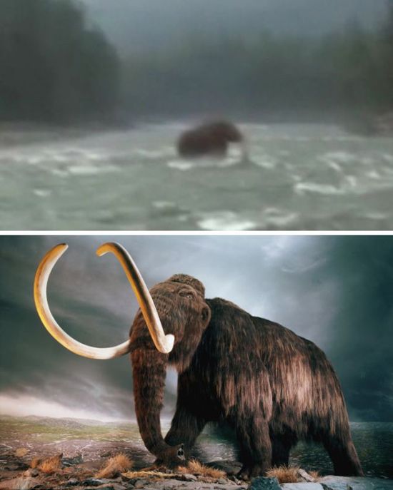 全球神秘水怪盘点,西伯利亚惊绒毛巨兽是猛犸象吗？