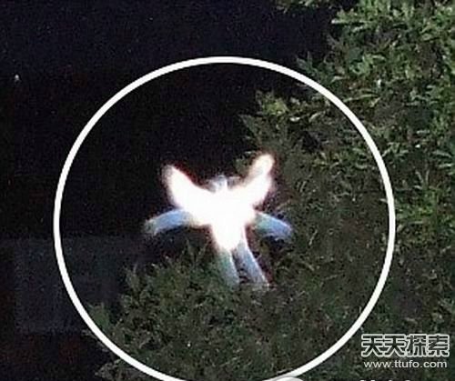 外星人真容曝光 人类将面临浩劫