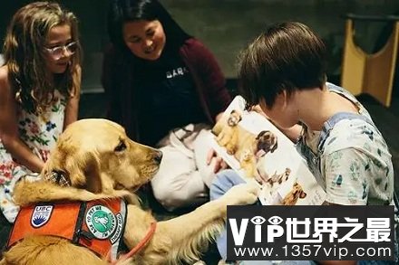 “伴读犬”是什么？“伴读犬”存在的意思