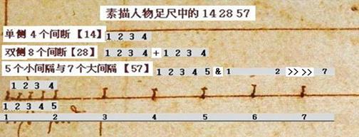 达芬奇《维特鲁威人》数字之谜(图)