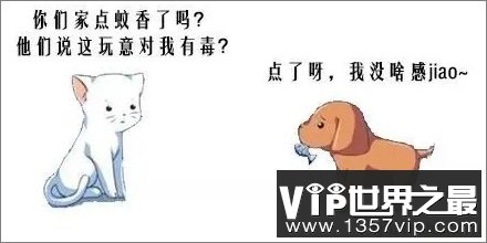 蚊香会让猫咪变痴呆是真的吗？