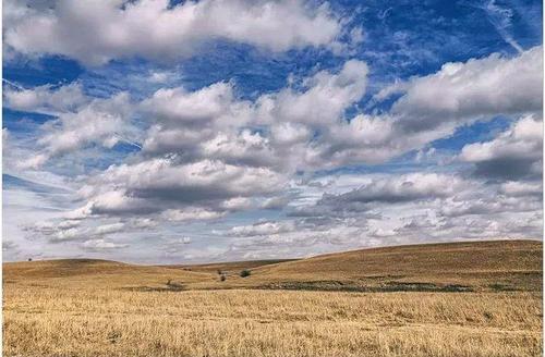 世界十大草原之最排行榜，欧亚草原总面积最大