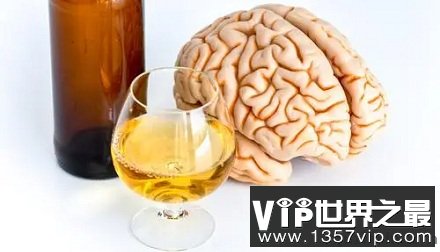 适量饮酒也可能会损害大脑健康是真的吗？