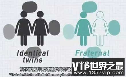 容易招蚊子和基因有关是真的吗？