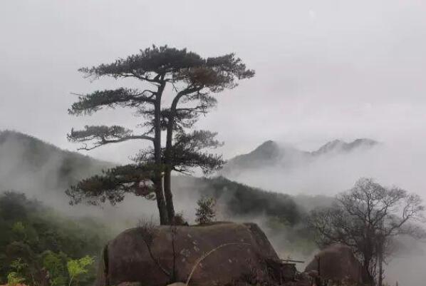 热带雨林中的十大奇观，七彩雨林最好看