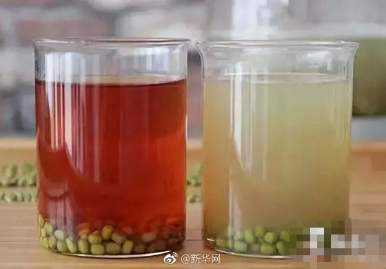 为什么绿豆不能做豆浆,绿豆做不成豆浆的原因