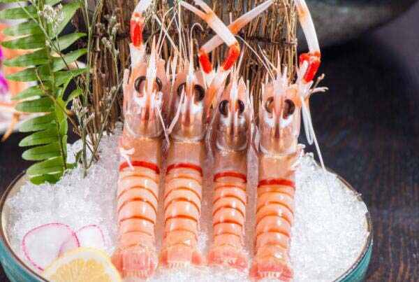 全球十大龙虾品种：波士顿龙虾上榜，澳洲龙虾夺冠