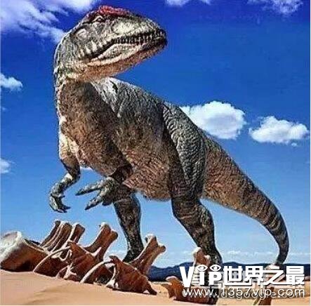 世界十大最强恐龙，南方巨兽龙排名第一(霸王龙仅排第三)