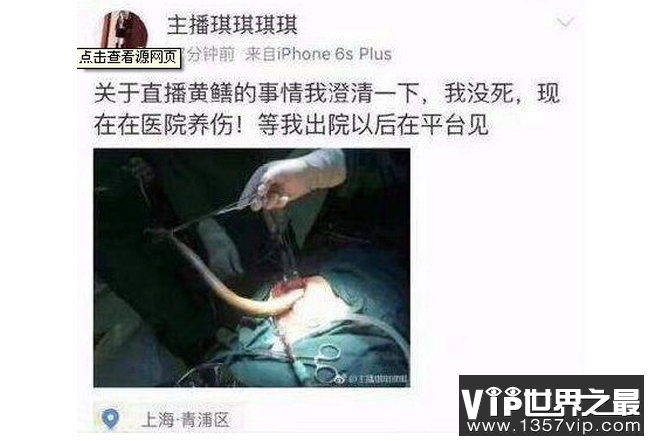 黄鳝是什么梗