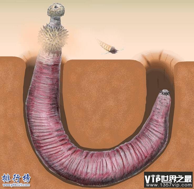 寒武纪十大恐怖生物：奇虾成地球霸主 恐龙是它晚辈