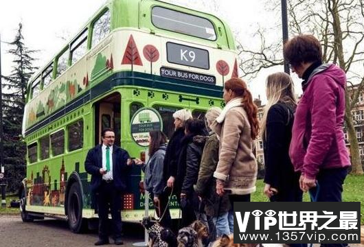 世界首辆狗狗观光巴士，英国K9号巴士