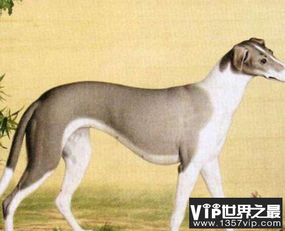 哮天犬的来历,哮天犬在天上是什么神？