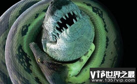 史前巨兽古杯蛇，体长10米能捕食鲨鱼的巨型海蛇