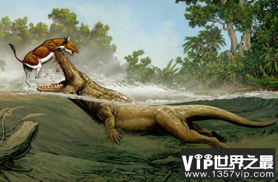 古代神秘生物未解之谜 比恐龙更怪异的史前生物