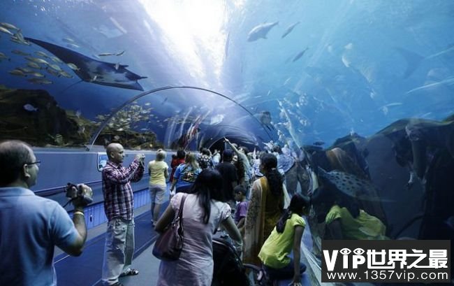 乔治亚水族馆