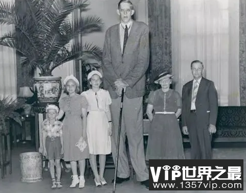 世界上最高的人是谁？