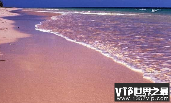 世界上最美的海滩 你见过粉红色海滩吗？