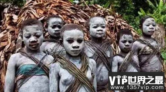 俾格米人,世界上最原始的部落,在8岁时有了孩子