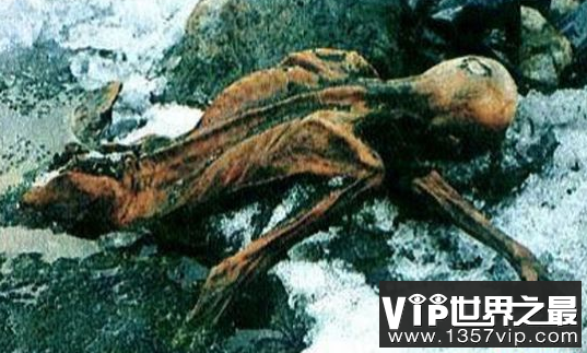 世界上最古老的木乃伊深深地解密了奥茨冰人