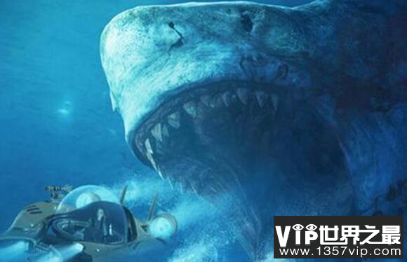 巨齿鲨的天敌是谁，曾是名副其实的海洋领主