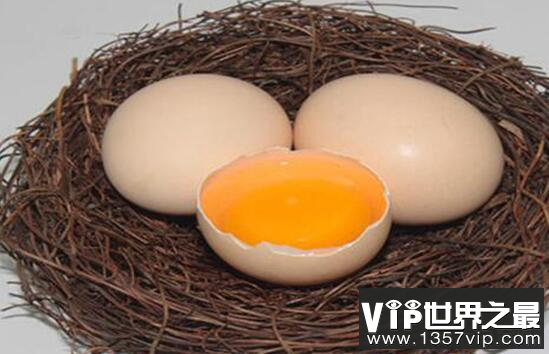 生鸡蛋能吃吗，含有一定病菌可能引起胃部感染