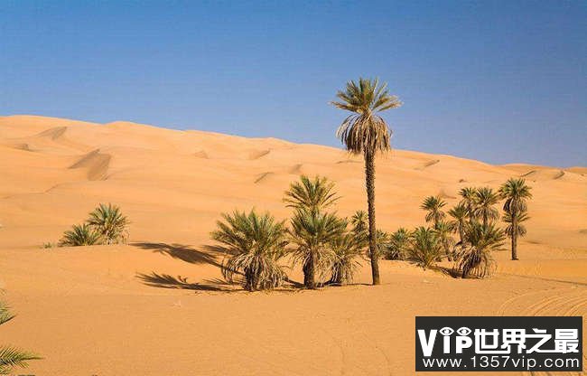 利比亚沙漠