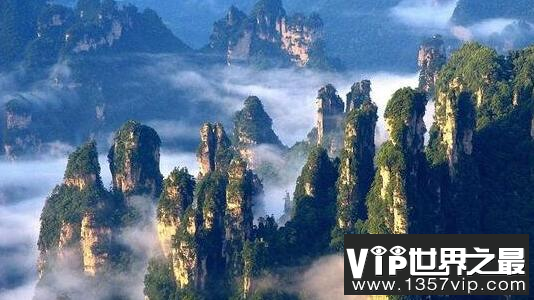 中国最大的森林公园排名，莫尔道嘎森林公园