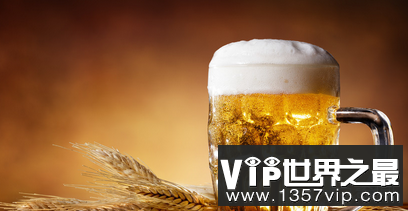 捷克共和国是世界上最受欢迎的啤酒国家，在世界上排名第一