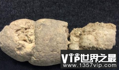 世界上最大的粪便化石收集了1277个史前粪便