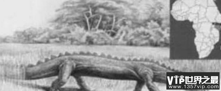 未消失的远古巨兽隐藏在“刚果恐龙”的真相