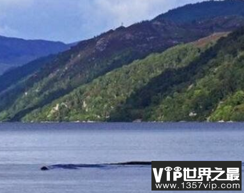 青海湖海底惊现12米巨型真龙，巨型水怪曝光