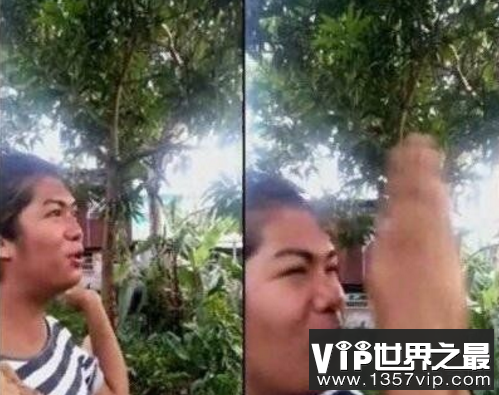 菲律宾男子靠嘴召唤蚊子，双手一啪数十只灰飞烟灭