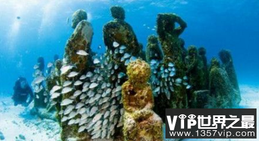 人工鱼礁是什么?有什么具体作用?