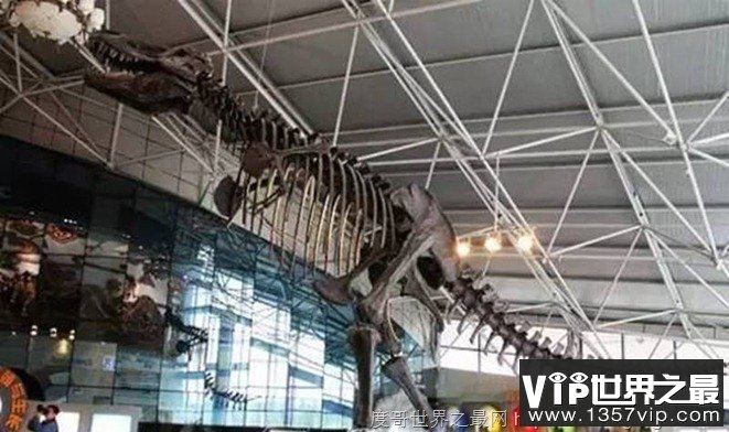 中国发现的第一只恐龙到底是什么龙？满洲龙,许氏禄丰龙