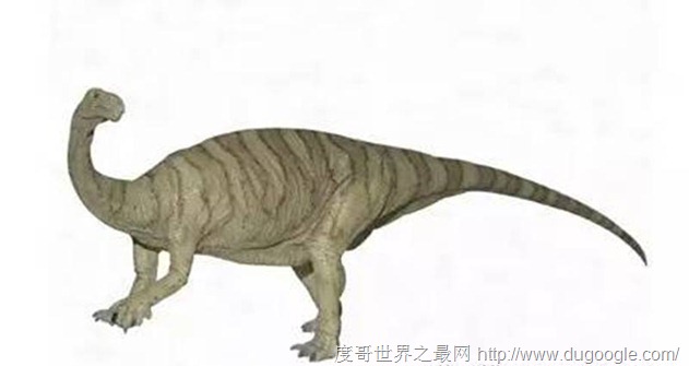 中国发现的第一只恐龙到底是什么龙？满洲龙,许氏禄丰龙