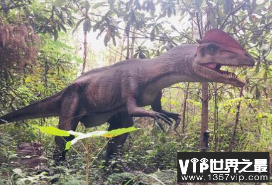 世界上第一厉害的恐龙，十大战斗力最强恐龙