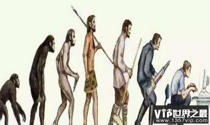 人类为什么不进化了，人不是进化来的