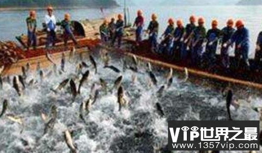 世界哪个鱼场产鱼量最大，日本北海道渔场产量高