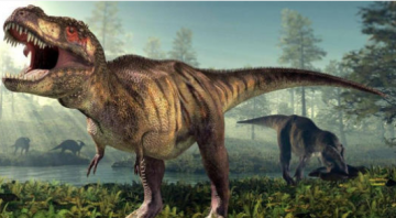 未解之谜之地球上的恐龙到底是怎样灭绝的？
