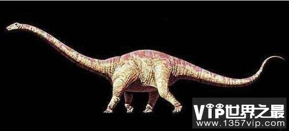 世界上最长的恐龙，地震龙长达67米(走路会引发地震)