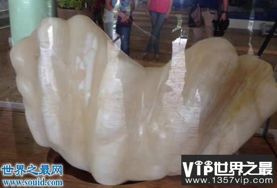 世界上最大的珍珠，重78斤被雪藏10年(价值1亿美金)(www.5300tv.com)