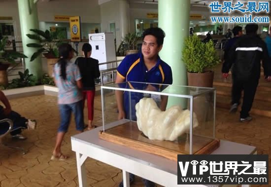 世界上最大的珍珠，重78斤被雪藏10年(价值1亿美金)(www.5300tv.com)