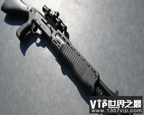 威力巨大的近战武器-霰弹枪(www.5300tv.com)