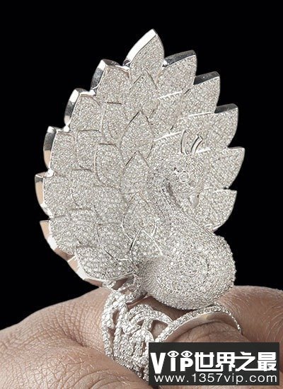 一枚镶嵌最多钻石的戒指，3827颗(www.5300tv.com)