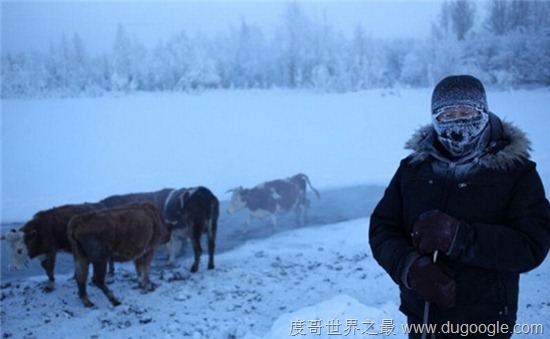 世界上最冷的村庄，奥伊米亚康村低至-71.2℃